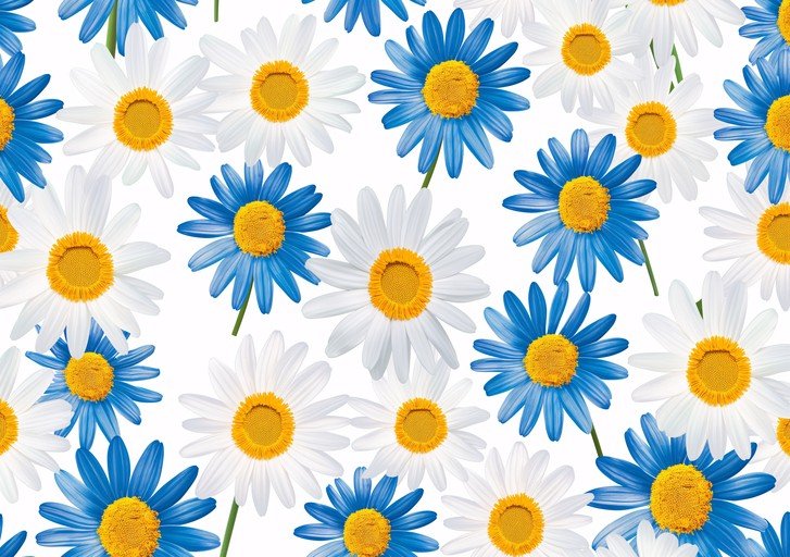 Blue and White Daisy Pattern