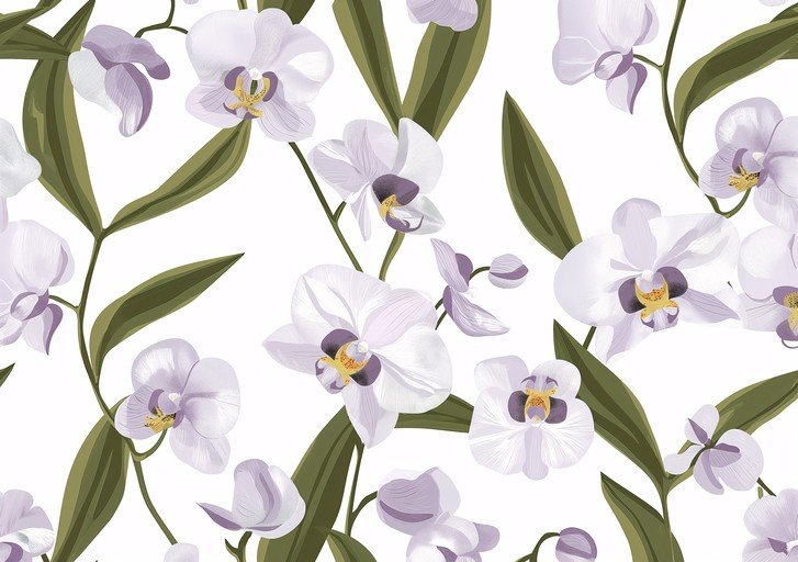 Elegant White Orchid Floral Pattern