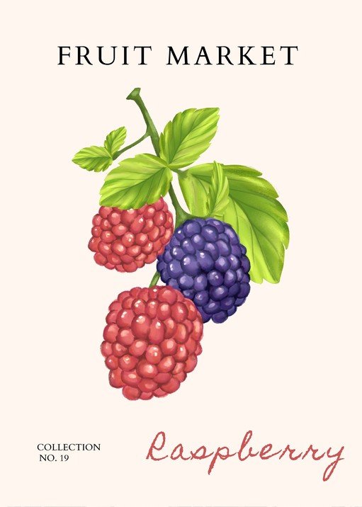 Fruit Market Collection: Raspberry & Blackberry