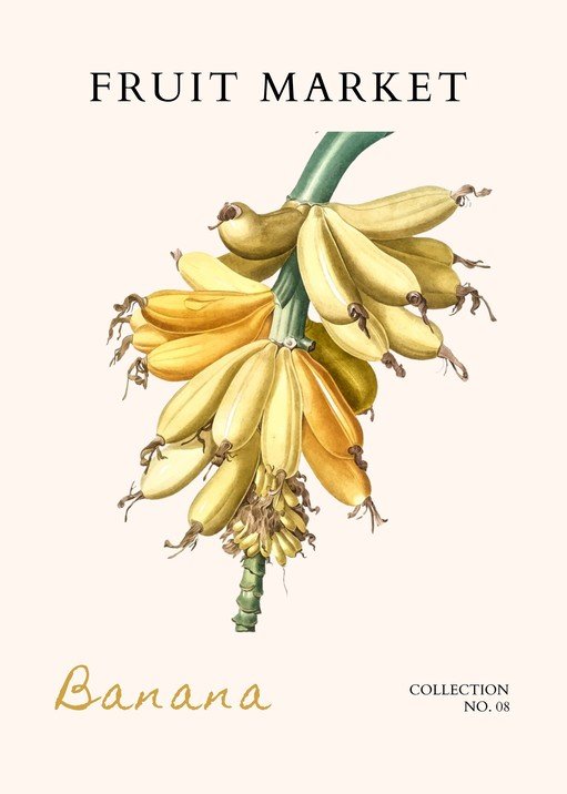 Vintage Banana Illustration from Fruit Market Collection