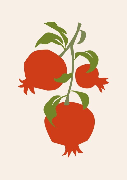 Abstract Pomegranate Branch with Fruit and Leaves