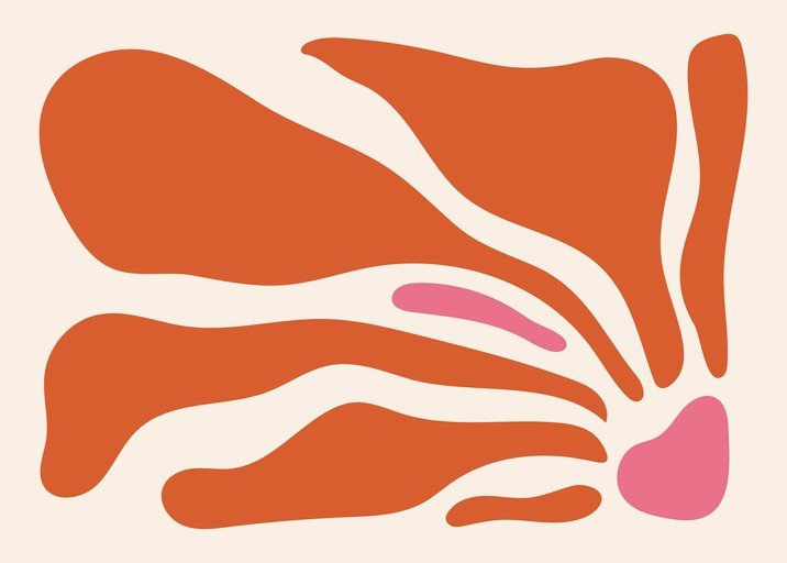 Abstract Organic Shapes in Warm Tones
