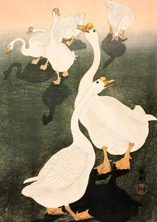 Geese Gathered in a Pond