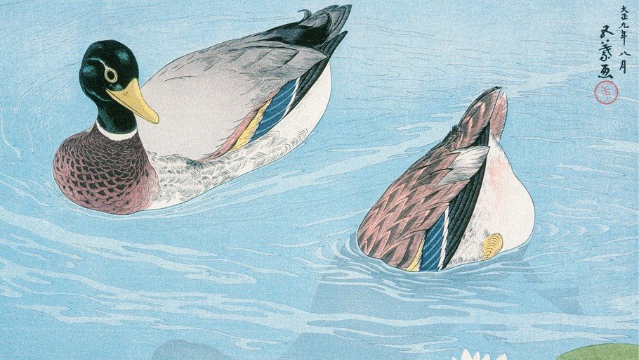 Two Ducks Swimming in Blue Water