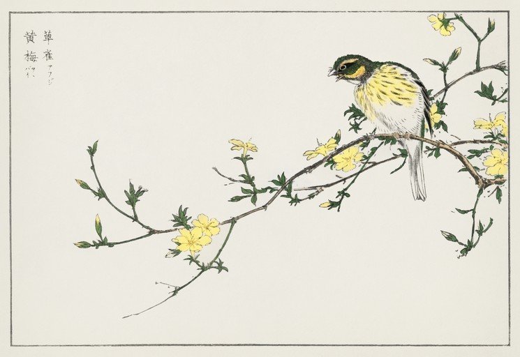 Bird on a Flowering Branch