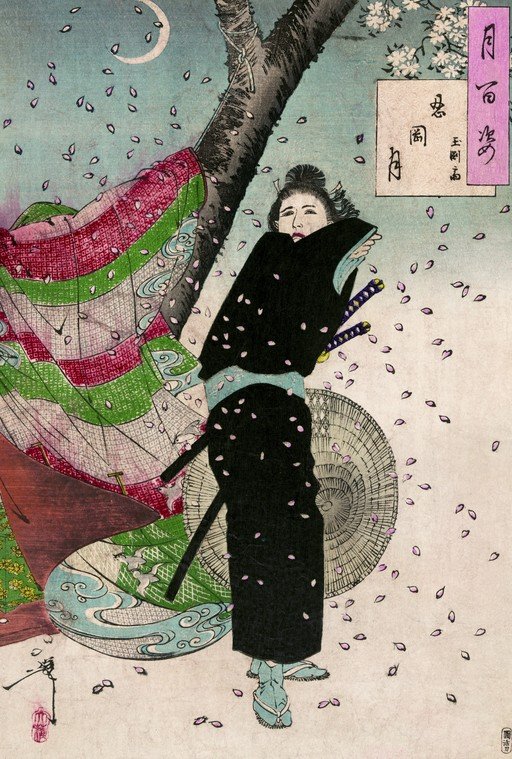 Woman in Black Under Cherry Blossoms