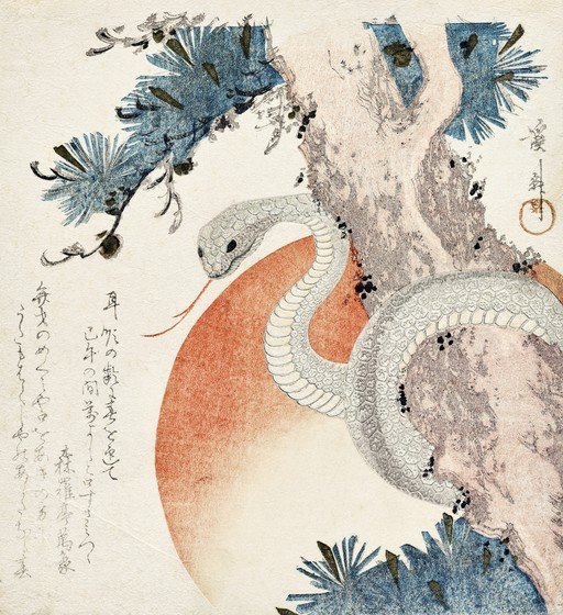 Japanese Woodblock Print of a White Snake and Pine Tree