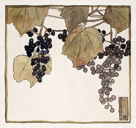 Art Nouveau Grapes and Leaves Illustration