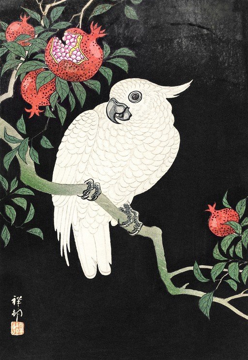 White Cockatoo and Pomegranates on a Branch