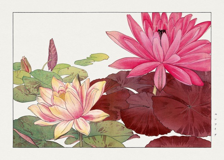 Vibrant Water Lilies in Japanese Art Style