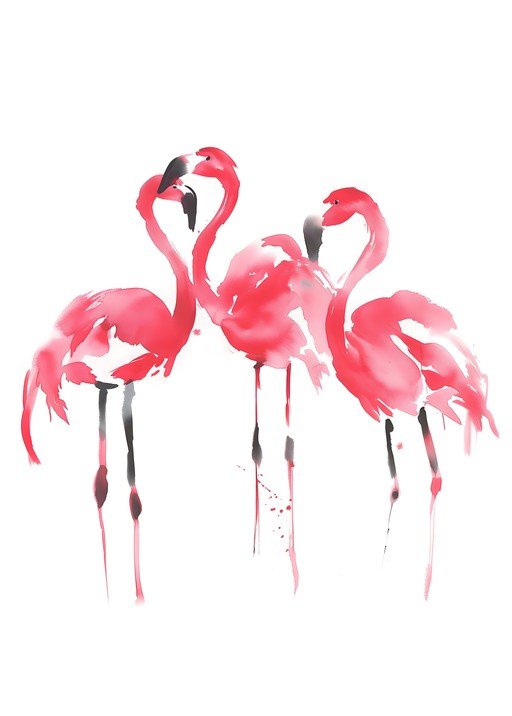 Watercolor Flamingos Art Print