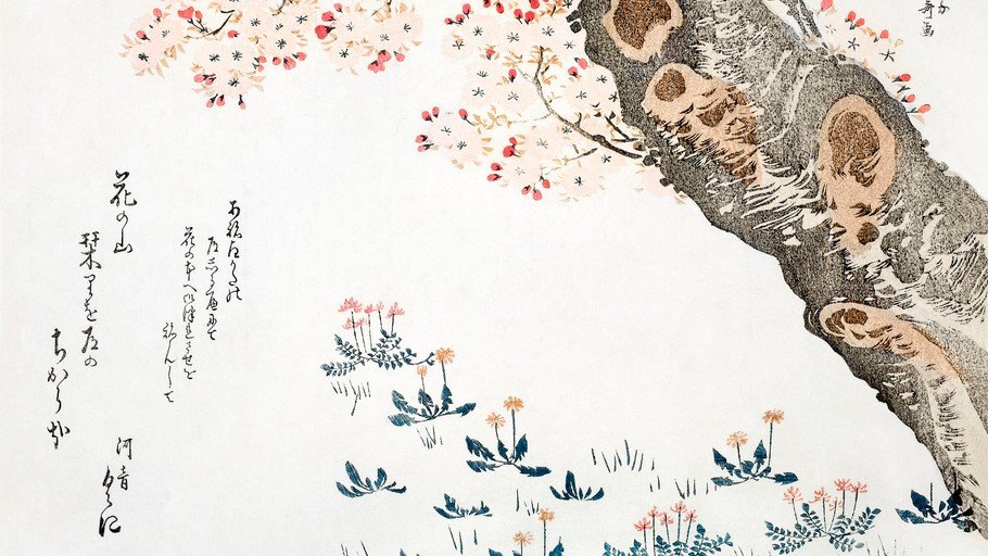 Japanese Cherry Blossoms and Tree Trunk with Calligraphy