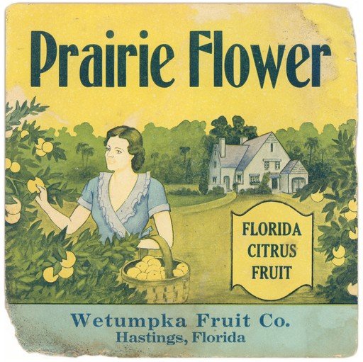 Prairie Flower Florida Citrus Fruit Label