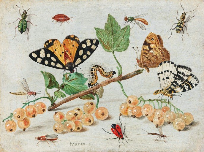 Still Life with Insects and White Currants