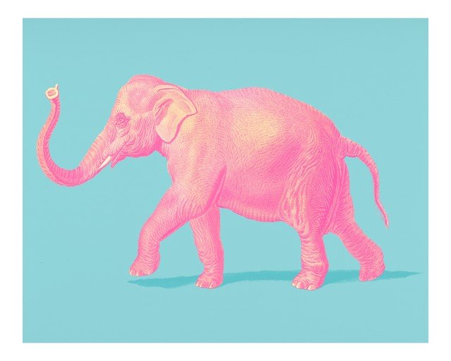 Pink Elephant on Blue Background