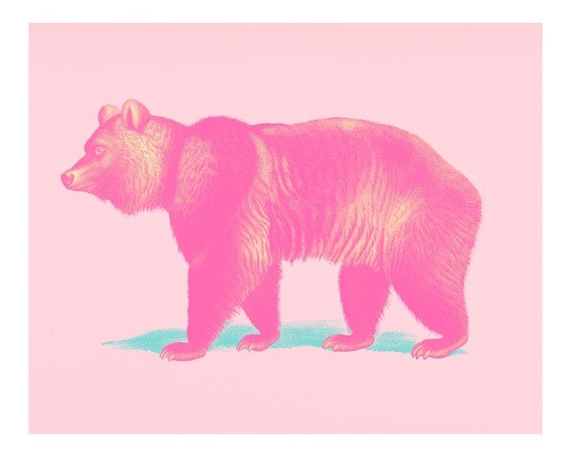 Pink Bear Illustration on Pastel Background
