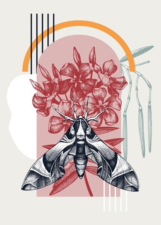 Moth and Floral Illustration with Abstract Geometric Elements