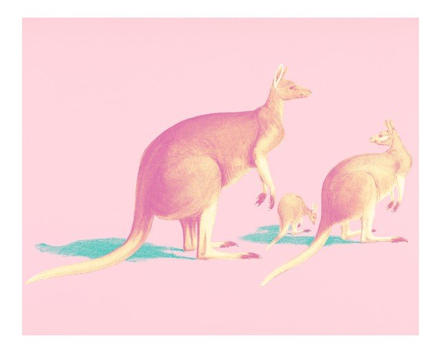 Family of Kangaroos in Pink and Yellow Tones