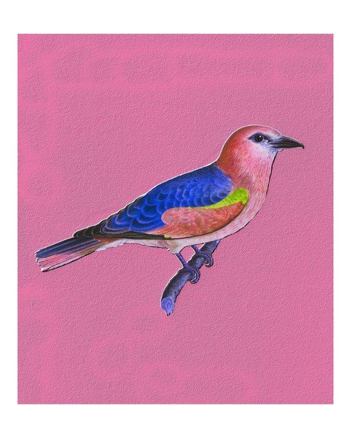 Vibrant Bird Perched on Branch Against Pink Textured Background