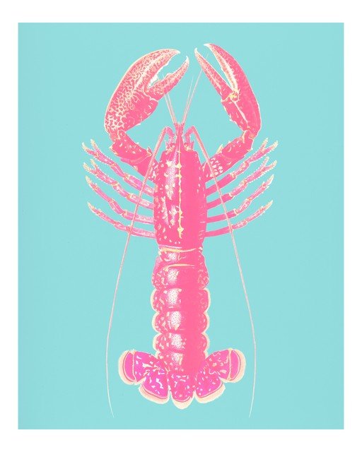 Vibrant Pink Lobster on Teal Background