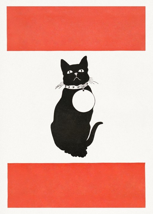 Black Cat with Red Stripes