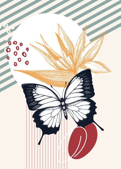 Butterfly and Bird of Paradise Floral Illustration
