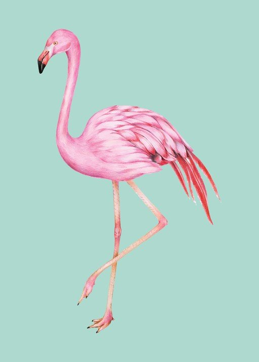 Elegant Pink Flamingo Illustration