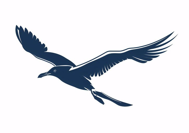 Silhouette of a Seagull in Flight