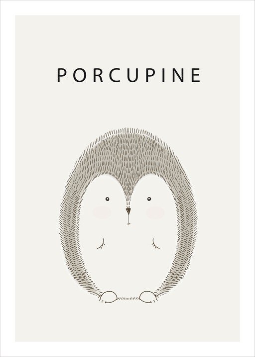 Cute Porcupine Illustration with Text