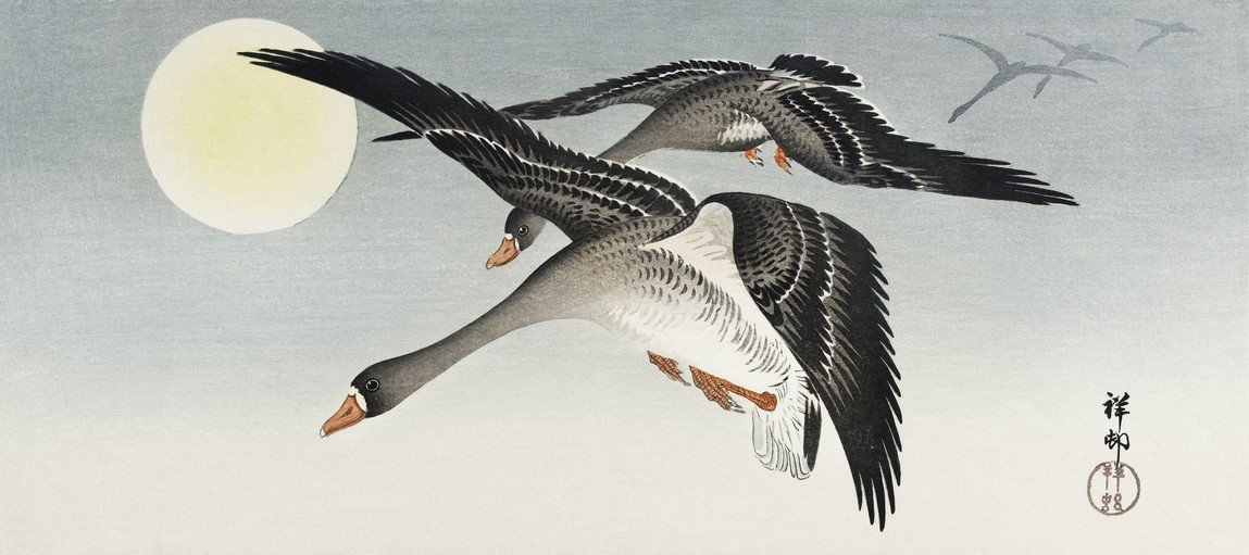 Geese Flying Under a Full Moon