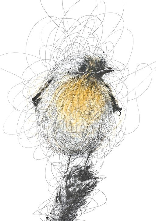 Scribble Art Robin Perched on a Branch