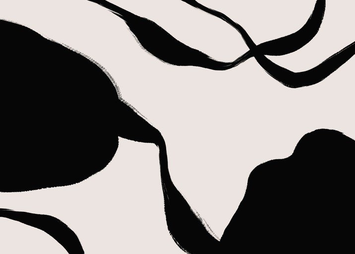 Abstract Black and White Brushstroke Art