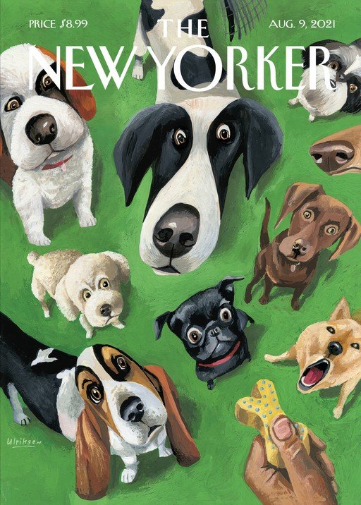 New Yorker Cover: A Pack of Dogs Eagerly Awaiting a Treat