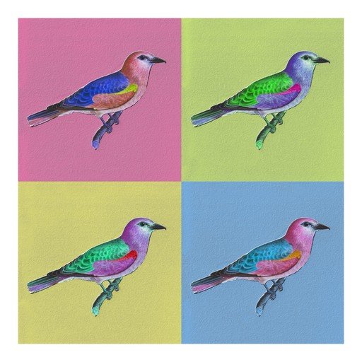 Four Colorful Birds in Pop Art Style