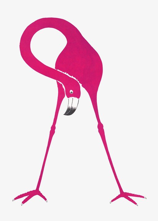 Vibrant Pink Flamingo Illustration