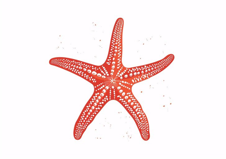 Vibrant Red Starfish Illustration