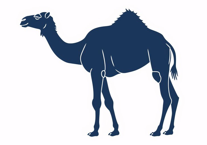 Stylized Camel Silhouette