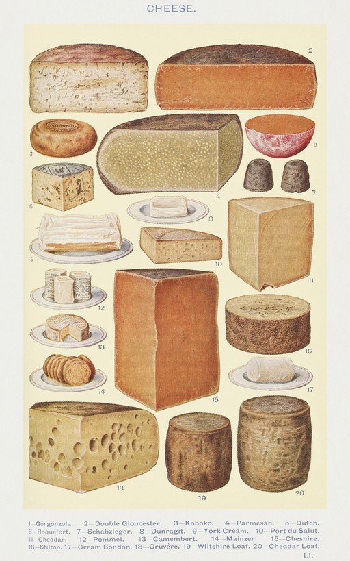Illustration of Various Cheeses