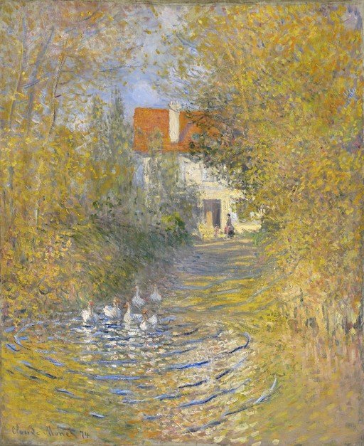 Geese in a Pond with a House in the Background