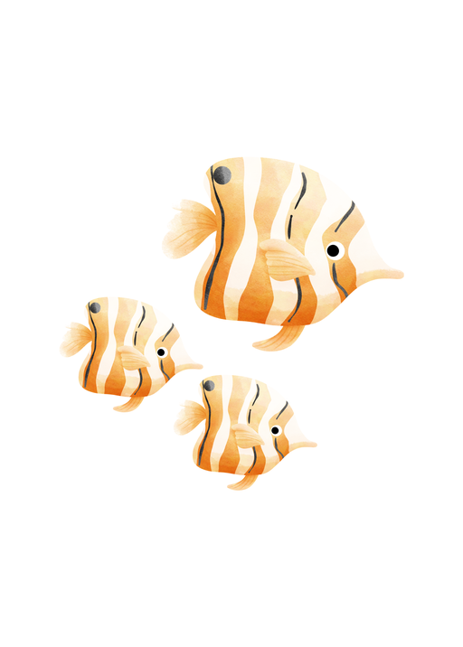 Three Striped Tropical Fish Illustration