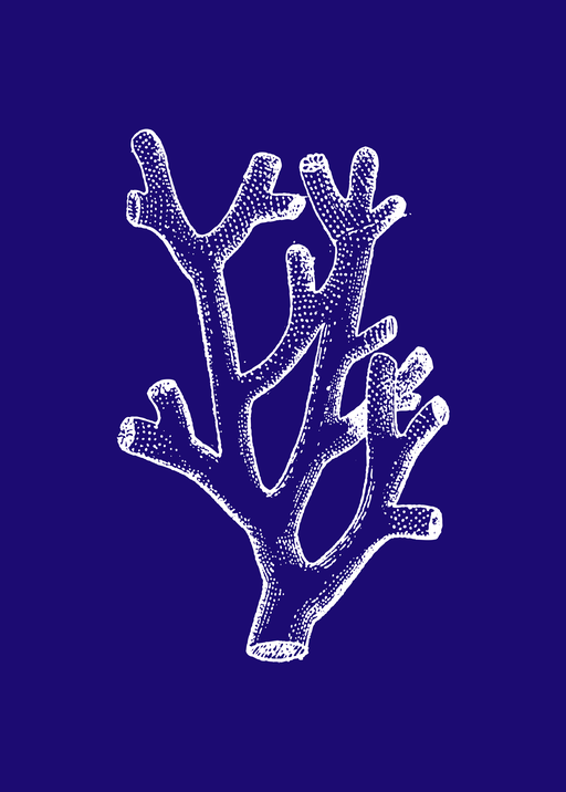 White Coral Illustration on Deep Blue Background