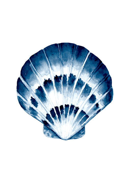 Watercolor Scallop Shell Art