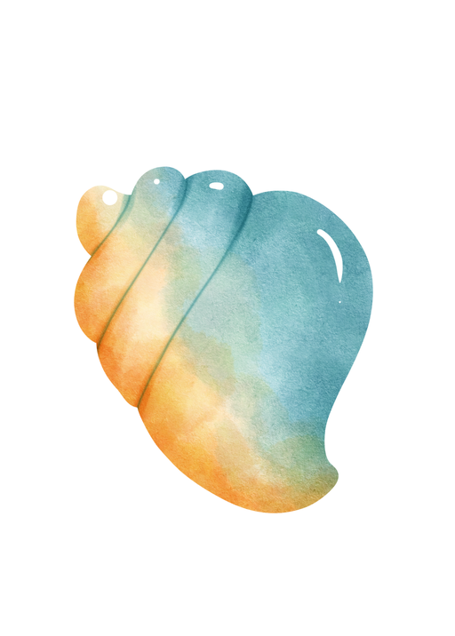 Watercolor Seashell Illustration