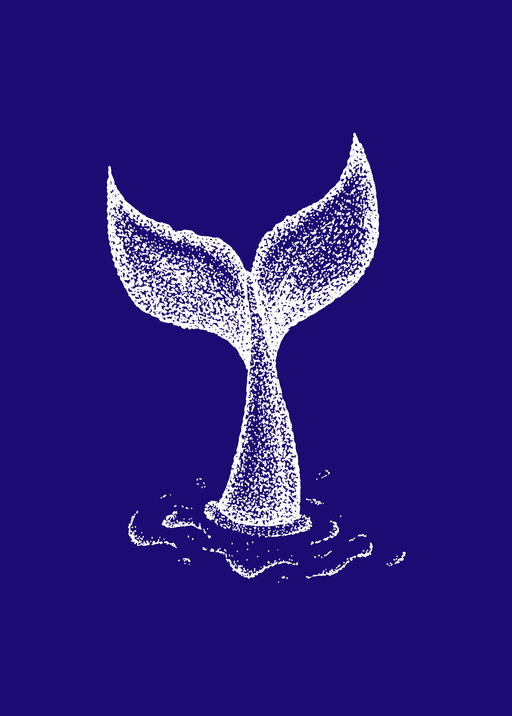 Whale Tail Illustration on Deep Blue Background