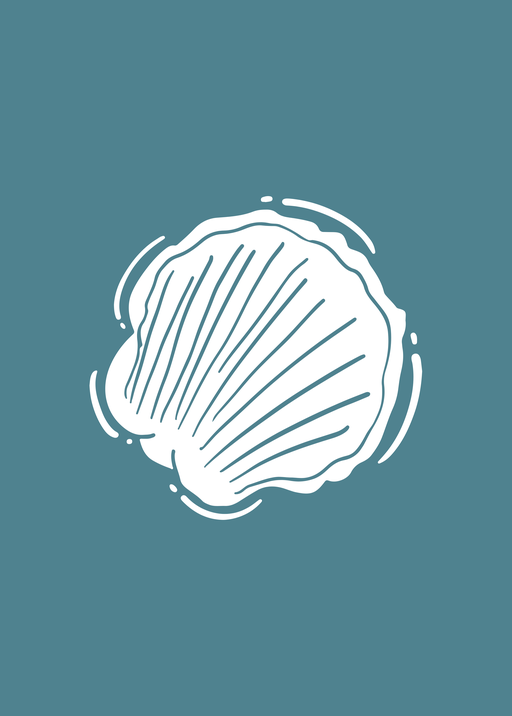Minimalist White Seashell Illustration on Teal Background