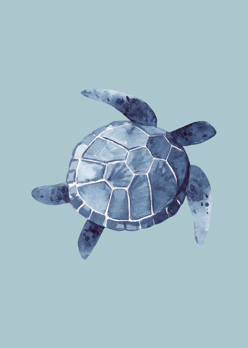 Watercolor Sea Turtle Illustration