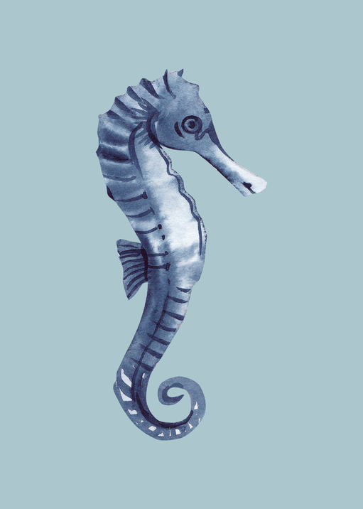 Watercolor Seahorse Illustration