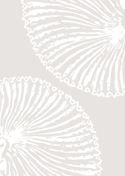 Abstract Fan-Like Pattern in Neutral Tones