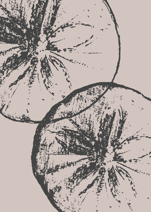 Abstract Citrus Slices Art