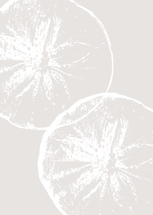 Minimalist Citrus Slice Art